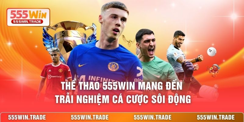 Thể thao 555WIN mang đến trải nghiệm cá cược sôi động 